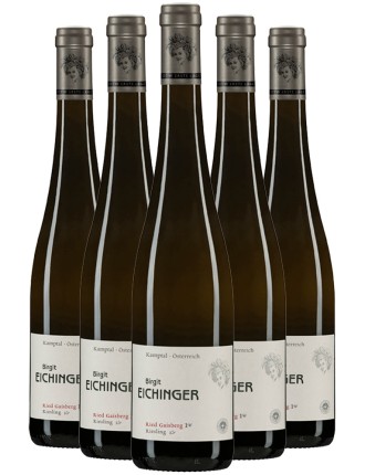 Limited Time Offer Birgit Eichinger Riesling Z?binger Gaisberg Erste Lage 2020 New Stock