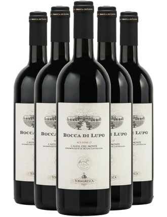 Limited Time Offer Bocca di Lupo Aglianico Castel del Monte 2020 Fresh Release