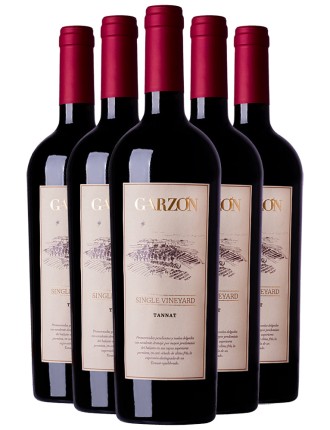 Limited Time Offer Bodega Garzﾨﾮn Single Vineyard Tannat 2020 New Collection