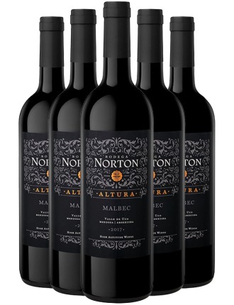 Limited Time Offer Bodega Norton Altura Malbec 2020 Available for Immediate Shipping