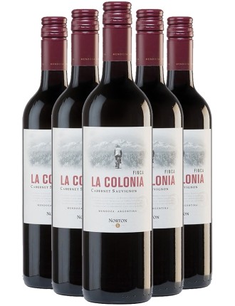 Limited Time Offer Bodega Norton Finca La Colonia Cabernet Sauvignon 2023 Ready for Shipment