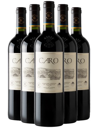 Limited Time Offer Bodegas CARO 2019 Fresh Release