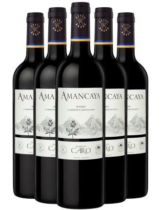 Limited Time Offer Bodegas Caro Amancaya 2021 Limited Stock