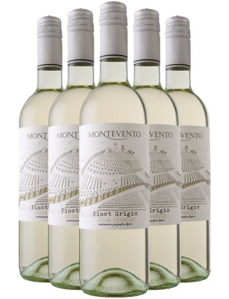 Limited Time Offer Cecilia Beretta Montevento Pinot Grigio 2023 Available Now