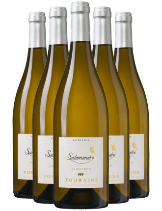 Limited Time Offer Cellier du Beaujardin Sauvignon Touraine Salamandre 2023 New Release