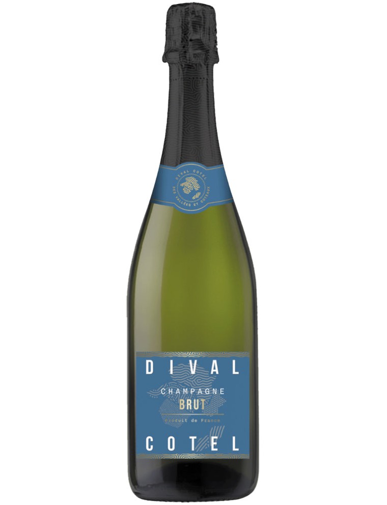 Limited Time Offer Champagne Dival Cotel Brut NV Hot New Item