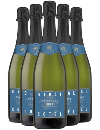 Limited Time Offer Champagne Dival Cotel Brut NV Hot New Item