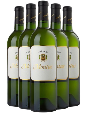 Limited Time Offer Chateau Montus Pacherenc du Vic-Bilh Sec 2015 Hot New Item