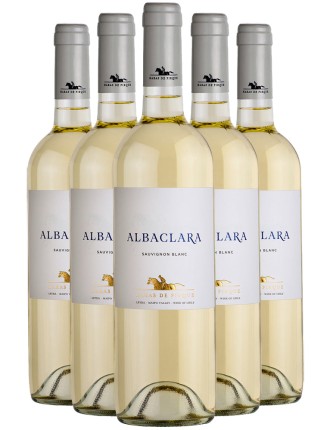 Limited Time Offer Haras de Pirque Albaclara Sauvignon Blanc 2023 Ready for Shipment