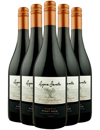 Limited Time Offer Agua Santa Pinot Noir Reserva 2022 New Release