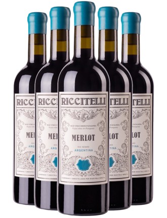 Limited Time Offer Mat��as Riccitelli Old Vines from Patagonia Merlot 2022 Available for Immediate Shipping