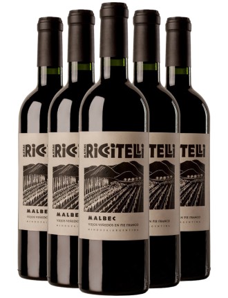 Limited Time Offer Matﾨﾪas Riccitelli Vineyard Selection Malbec 2020 Immediate Availability