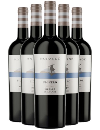 Limited Time Offer Morandﾨﾦ Pionero Merlot Reserva 2021 Just In