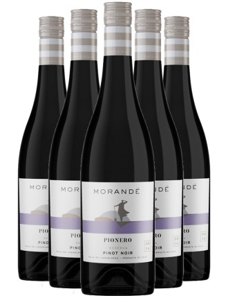 Limited Time Offer Morandﾨﾦ Pionero Pinot Noir Reserva 2021 In Stock