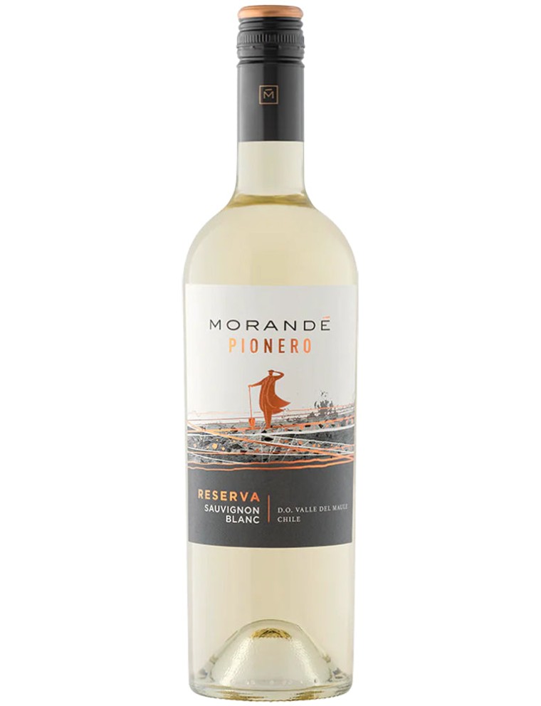 Limited Time Offer Morandﾨﾦ Pionero Sauvignon Blanc Reserva 2023 Available for Immediate Shipping