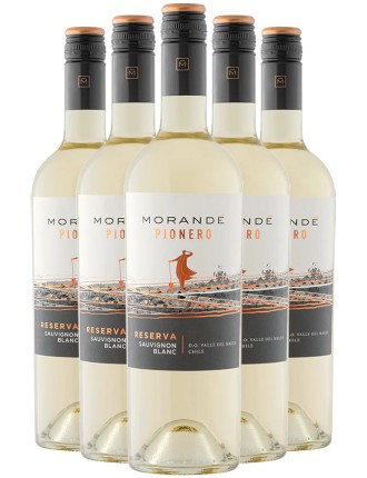 Limited Time Offer Morandﾨﾦ Pionero Sauvignon Blanc Reserva 2023 Available for Immediate Shipping