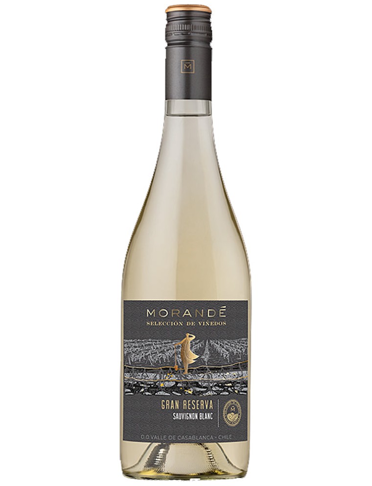 Limited Time Offer Morandﾨﾦ Sauvignon Blanc Gran Reserva 2023 New Release