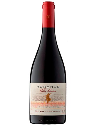 Limited Time Offer Morandﾨﾦ Vitis ﾨﾲnica Pinot Noir 2022 Ready for Shipment