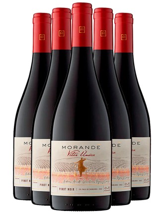 Limited Time Offer Morandﾨﾦ Vitis ﾨﾲnica Pinot Noir 2022 Ready for Shipment