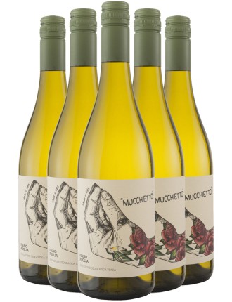 Limited Time Offer Mucchietto Fiano IGT Puglia 2022 Limited Stock