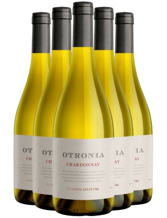 Limited Time Offer Otronia Patagonia Chardonnay 2020 In Stock