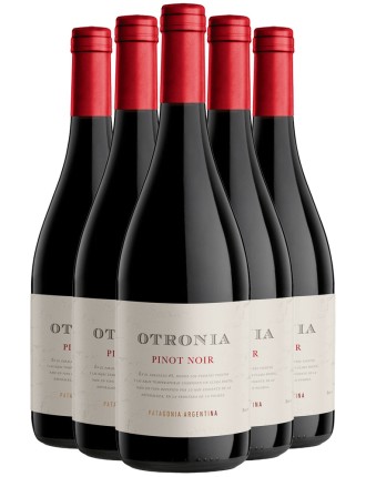 Limited Time Offer Otronia Patagonia Pinot Noir 2020 Available for Immediate Shipping