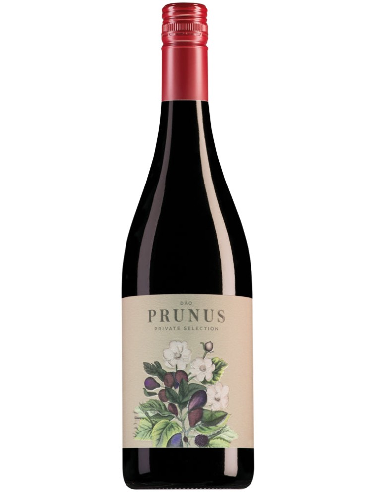 Limited Time Offer Prunus D?o Tinto 2021 New Stock