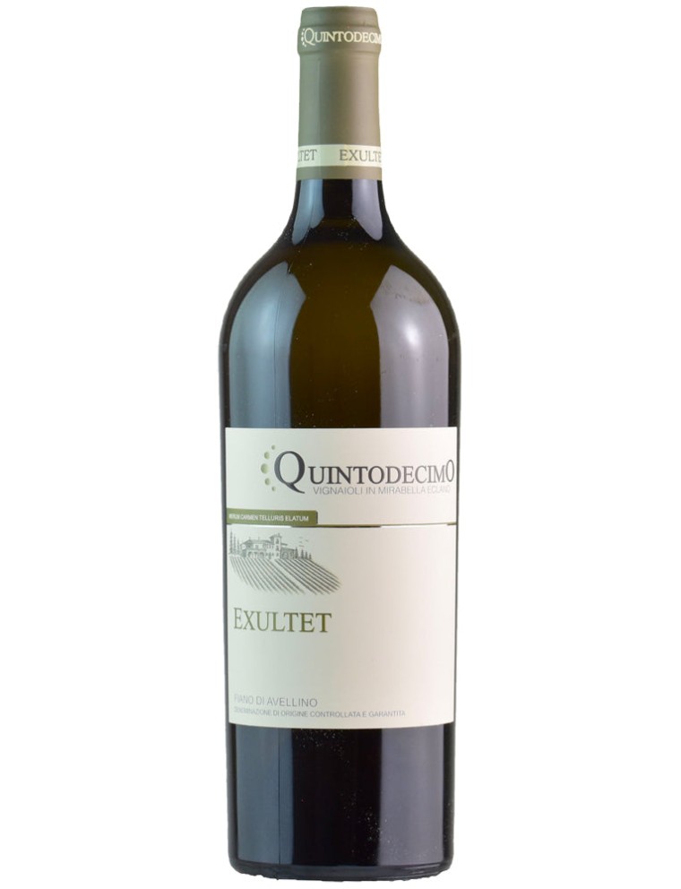 Limited Time Offer Quintodecimo Exultet Fiano di Avellino 2021 New Release