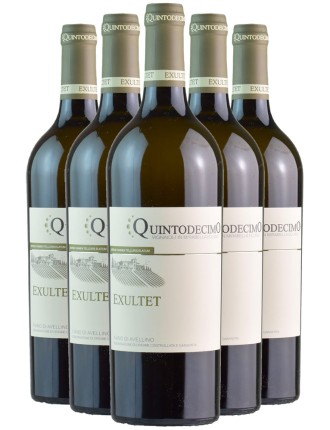 Limited Time Offer Quintodecimo Exultet Fiano di Avellino 2021 New Release