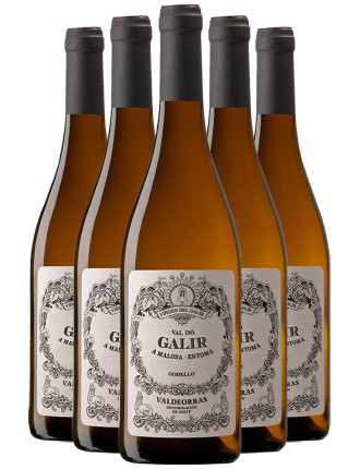 Limited Time Offer Val do Galir Godello 2022 Limited Stock