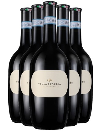 Limited Time Offer Villa Sparina Barbera del Monferrato 2021 New Release