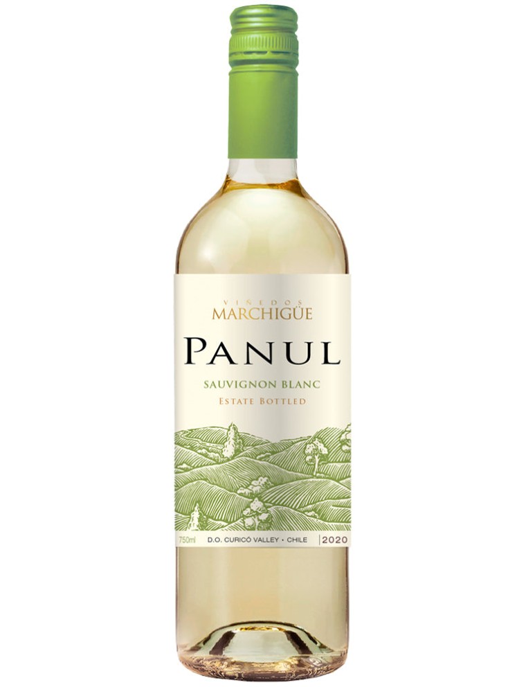 Limited Time Offer Panul Sauvignon Blanc 2022 On Hand Now