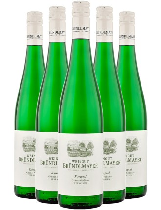 Limited Time Offer Weingut Brﾨﾹndlmayer Grﾨﾹner Veltliner Terrassen 2020 Hot New Item