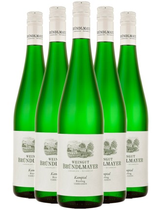 Limited Time Offer Weingut Brﾨﾹndlmayer Riesling Terrassen 2021 New Collection