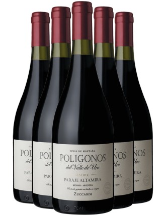 Limited Time Offer Zuccardi Poligonos Paraje Altamira Malbec 2020