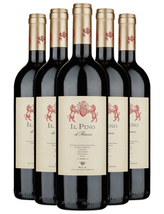 Limited Time Offer Il Pino di Biserno Just In