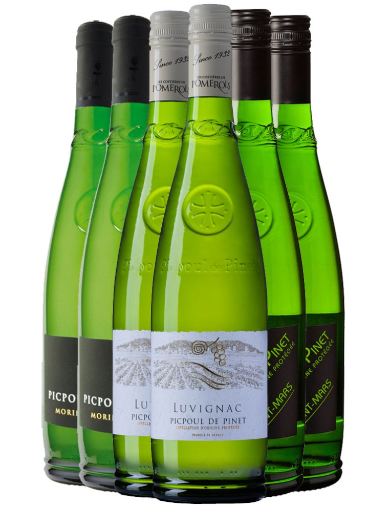 Limited Time Offer Picpoul de Pinet Sampler Case New Release