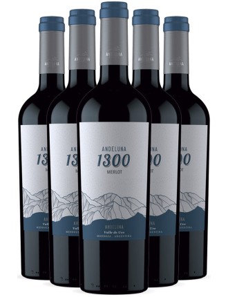 Limited Time Offer Andeluna Cellars 1300 Merlot 2021 On Hand Now