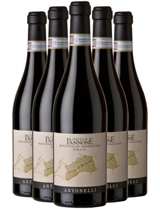 Limited Time Offer Antonelli Chiusa di Pannone Montefalco Sagrantino 2015 In Stock