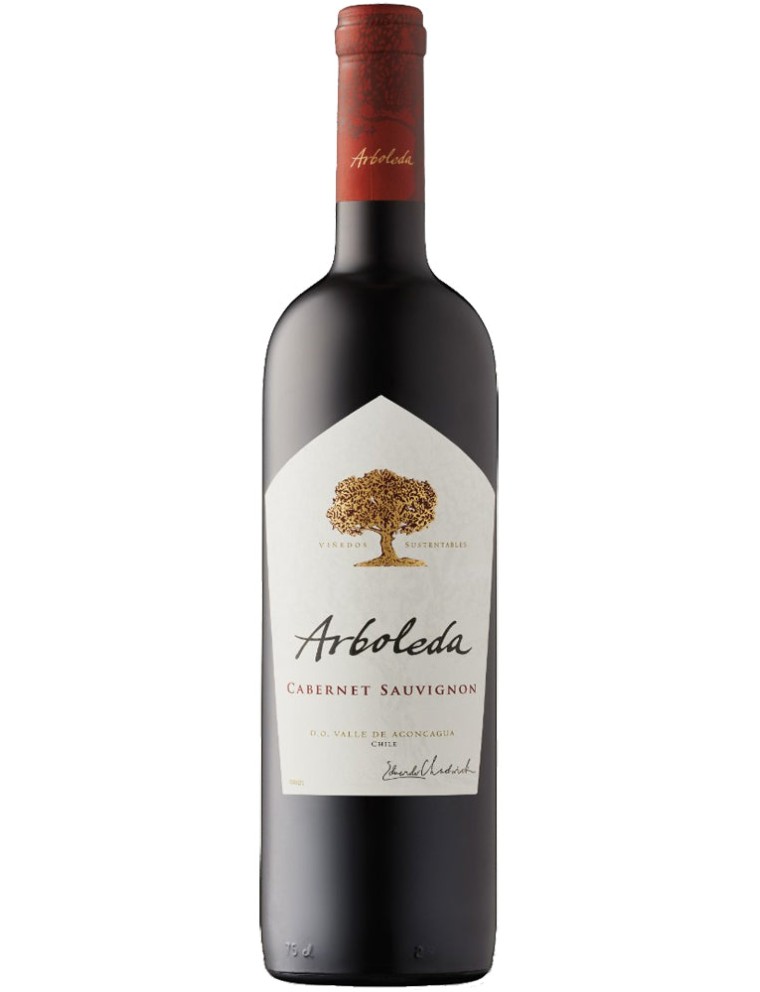 Limited Time Offer Arboleda Cabernet Sauvignon 2021 Latest Edition