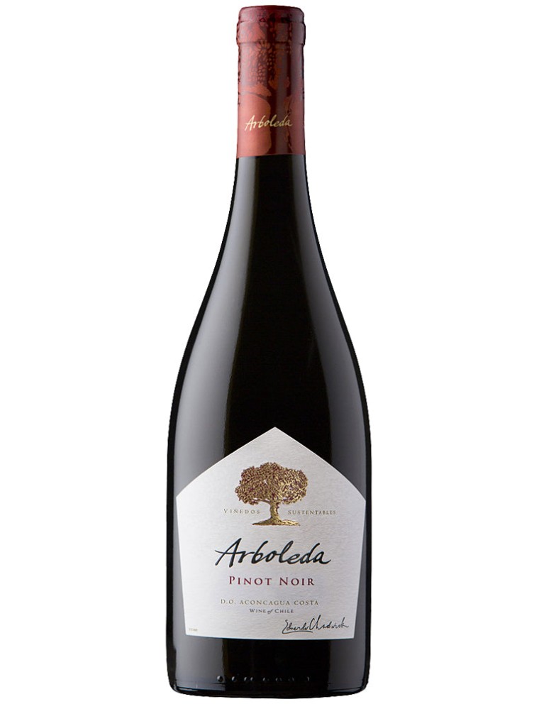 Limited Time Offer Arboleda Pinot Noir 2020 Limited Stock