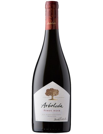 Limited Time Offer Arboleda Pinot Noir 2020 Limited Stock