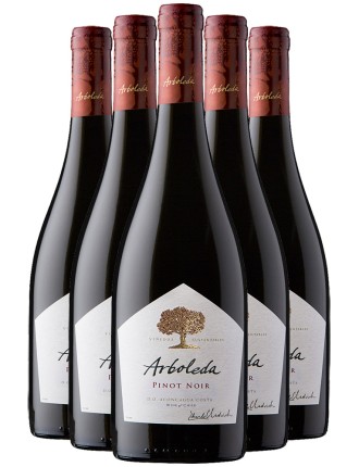 Limited Time Offer Arboleda Pinot Noir 2020 Limited Stock