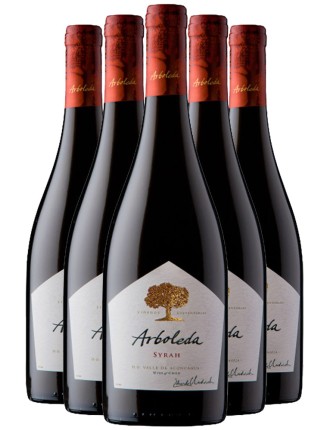 Limited Time Offer Arboleda Syrah 2020